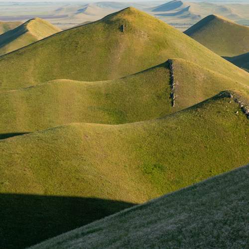 Photo #12112579