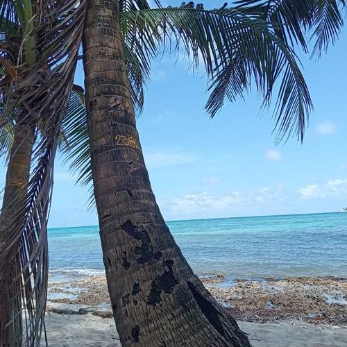 Photo #12112624