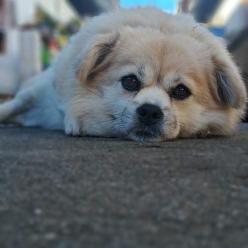 Photo #12113029