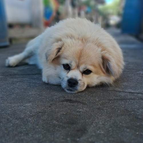 Photo #12113030