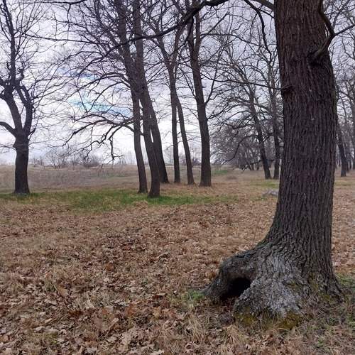 Photo #12113177