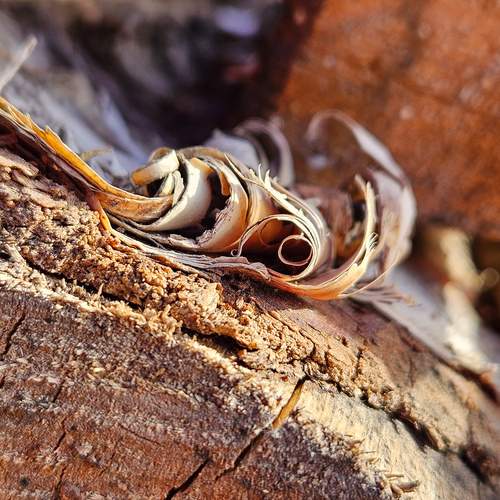 Photo #12113219