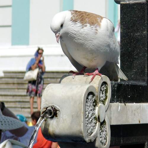 Photo #12113312
