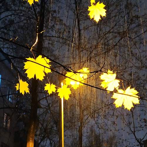 Photo #12113319