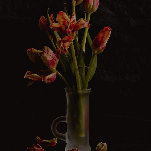 Photo #12113373