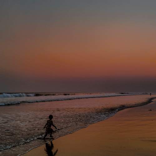 Photo #12113571