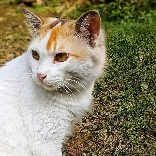 Photo #12113642