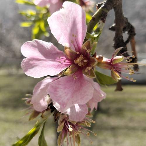 Photo #12113667