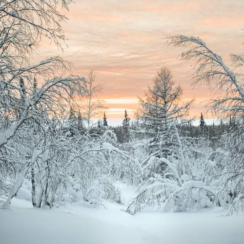 Зимний пейзаж Ямала