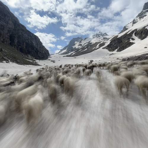 Photo #12113841