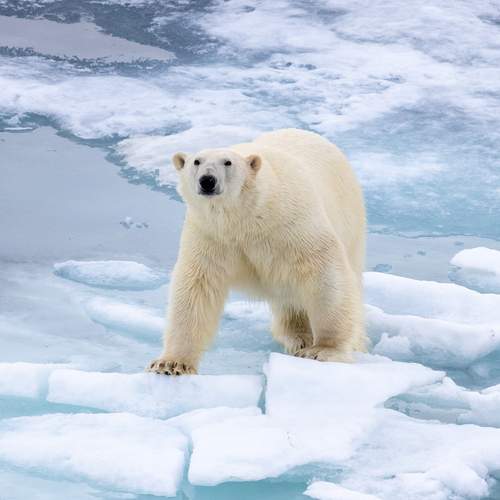 Photo #12113857