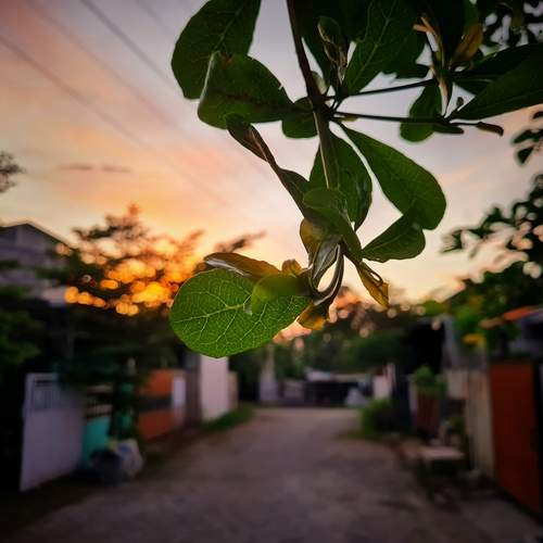 Photo #12113927