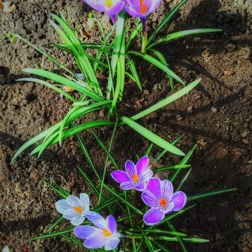 Photo #12113975