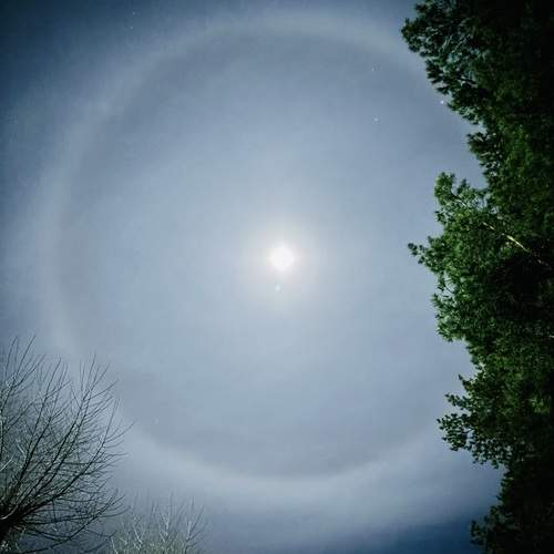 Photo #12114032