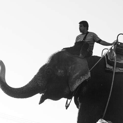 Photo #12114131