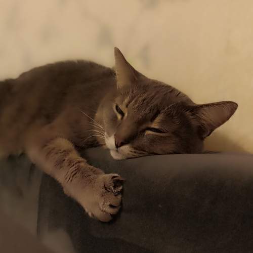 Photo #12115027