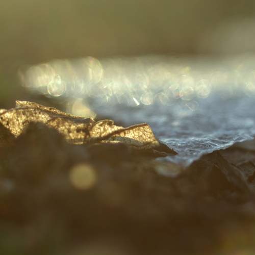 Photo #12115037