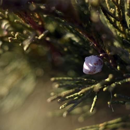 Photo #12115040