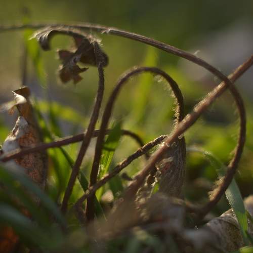 Photo #12115086
