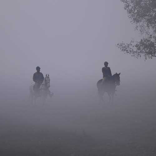 Photo #12115238