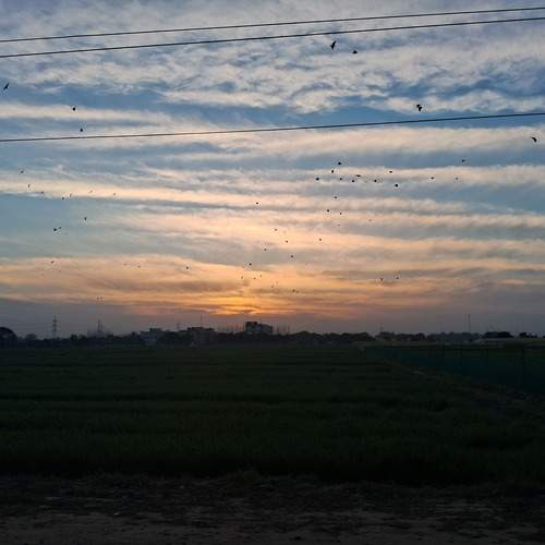 Photo #12115270