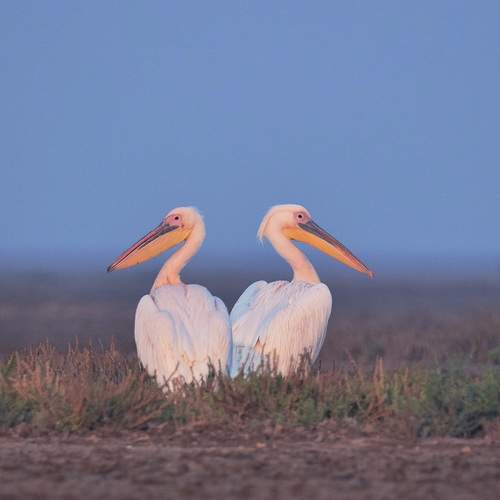 Photo #12115483