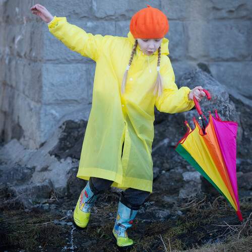 Photo #12115522