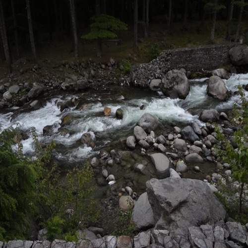 Photo #12115597