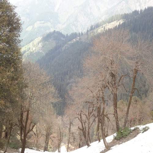 Photo #12115601