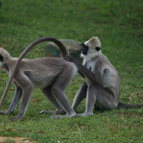 Photo #12115828