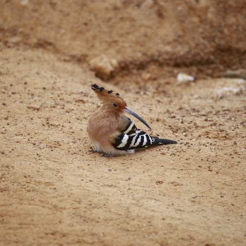 Photo #12115833