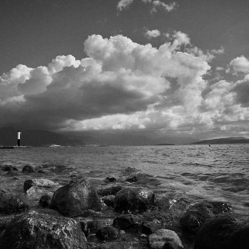 Photo #12115882