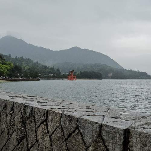 Photo #12116224