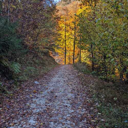 Photo #12116326