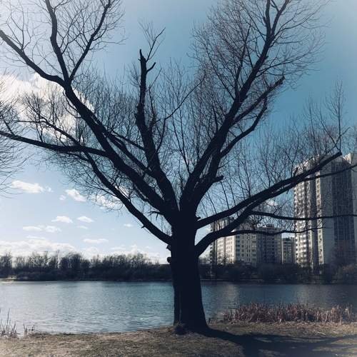 Photo #12116339