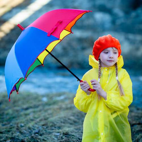 Photo #12116674