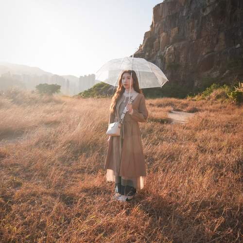 Photo #12116695