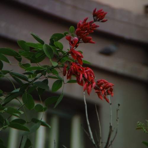 Photo #12116700