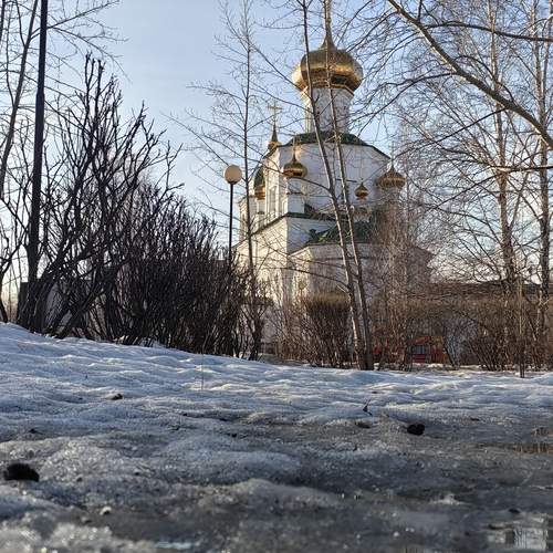 Photo #12116870