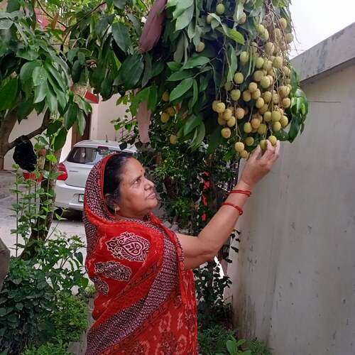 Photo #12117114