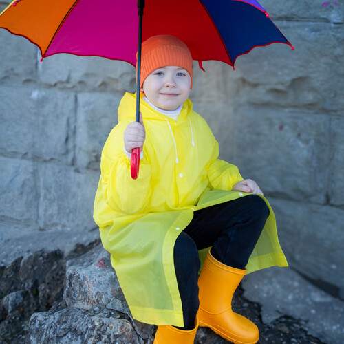 Photo #12117505