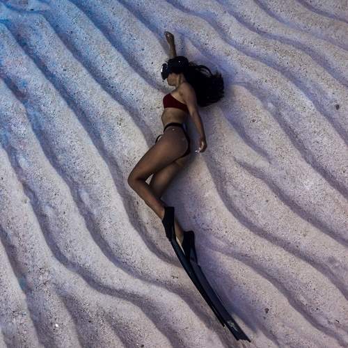 Photo #12117672