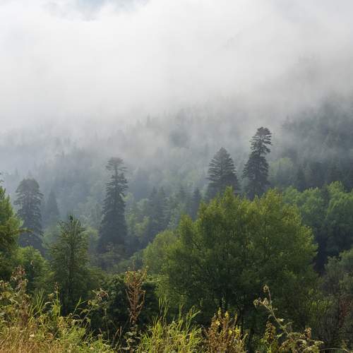 Photo #12117855