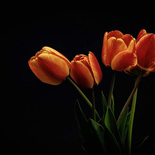 Photo #12117898