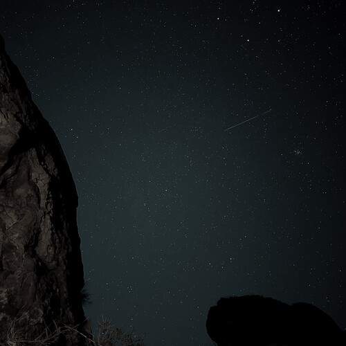 Photo #12118075