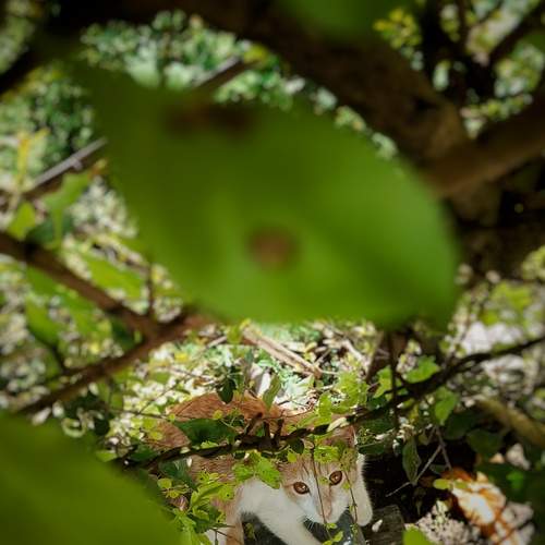 Photo #12118386