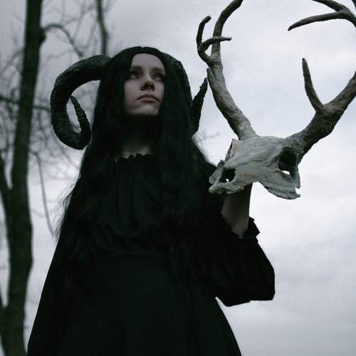 Photo #12118939