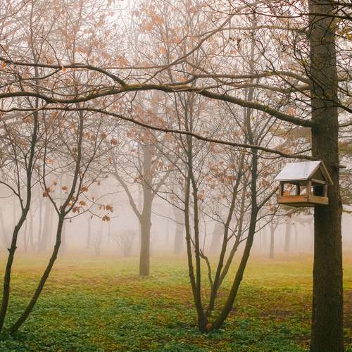 Photo #12118943