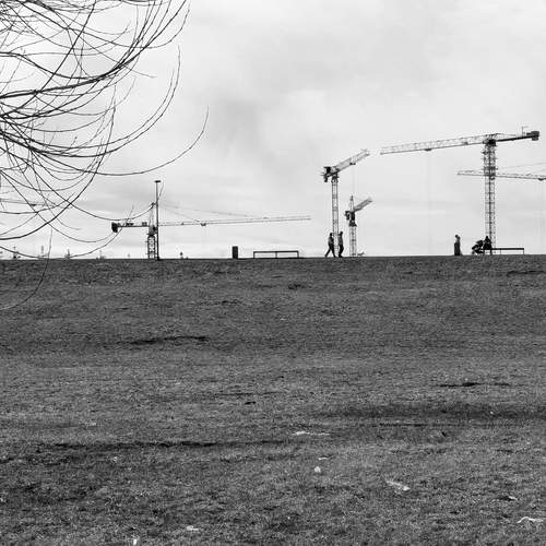 Photo #12119760