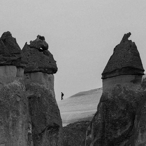 Photo #12119762